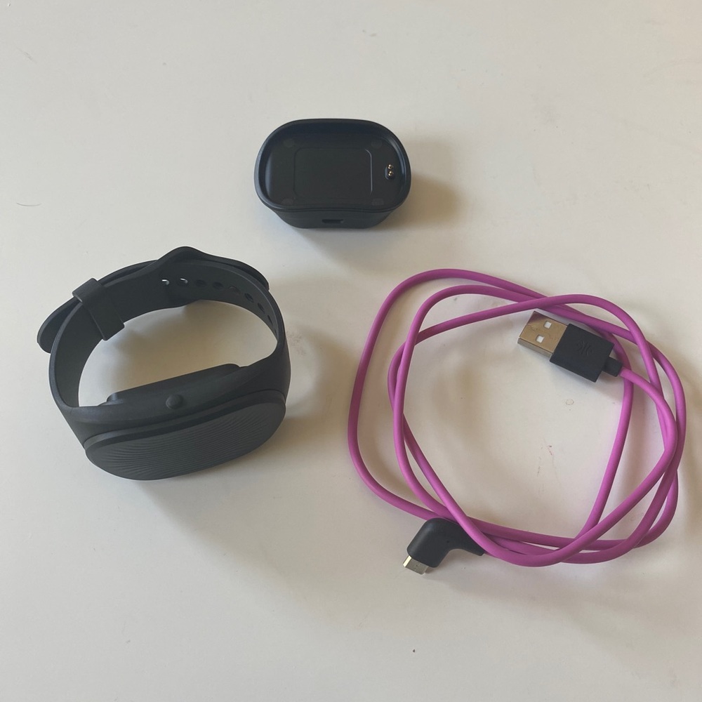 HealBe GoBe 2 Calorie Counting Watch